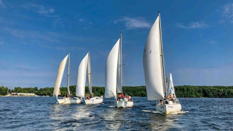 Barcos de vela