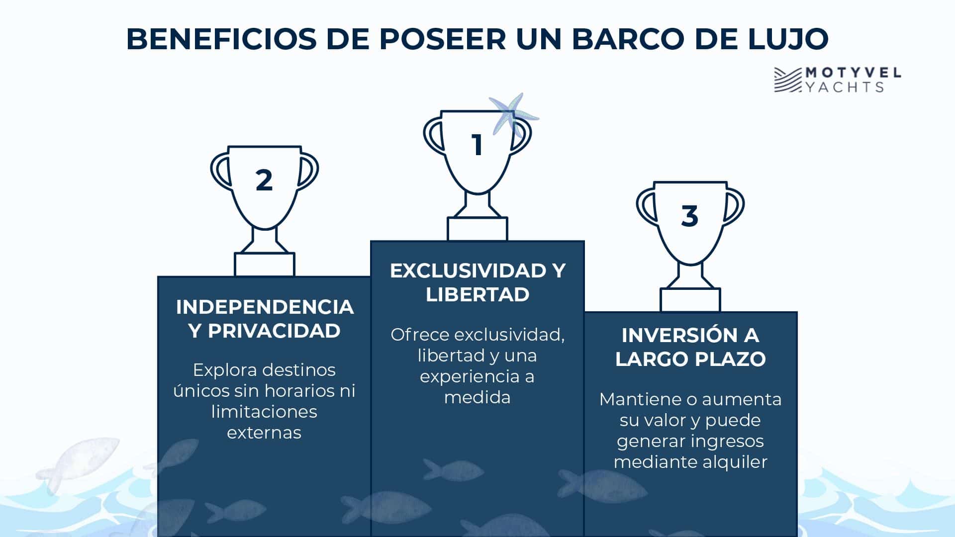 barcos de lujo infografía